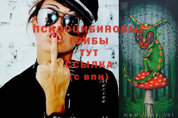 винт Алексеевка