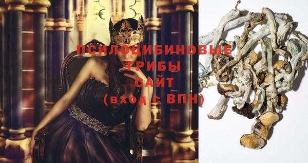 ешки Алексин